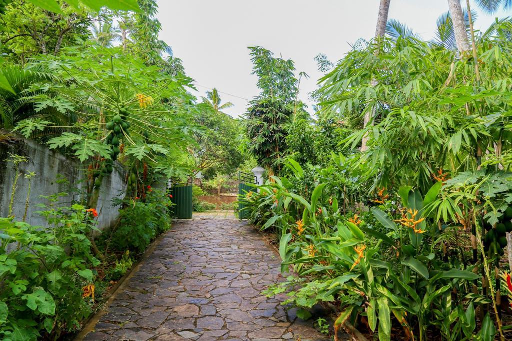 היקדואה Villa Green Cottage מראה חיצוני תמונה